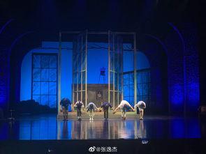 张逸杰最新动态爆料,揭秘他的星途新篇章